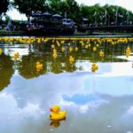 Piirikonferenssi 9.-10.4.2022