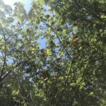 Motiva muutoksen tekijänä