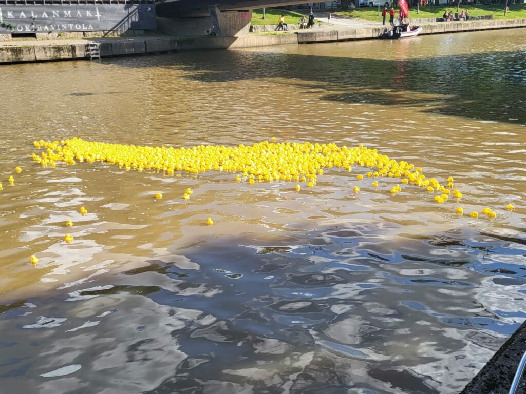 Ankat uivat Salossa