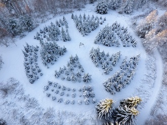 Kuva: Rovaniemen rotariklubien yhteinen Rotary Puistometsä kuvattuna talvella.